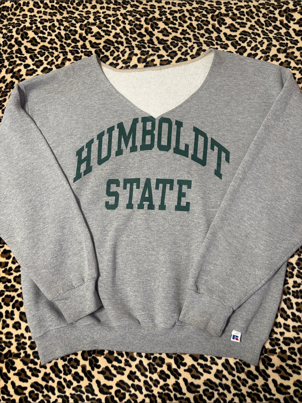 HUMBOLDT STATE UNIVERSITY 🌲 Grey XL Sweatshirt California College Vintage Y2K